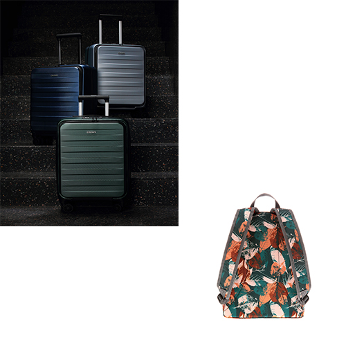 JY22ZQ08-19-CROWN皇冠 拉杆箱皇冠 +CROWN双肩背包E