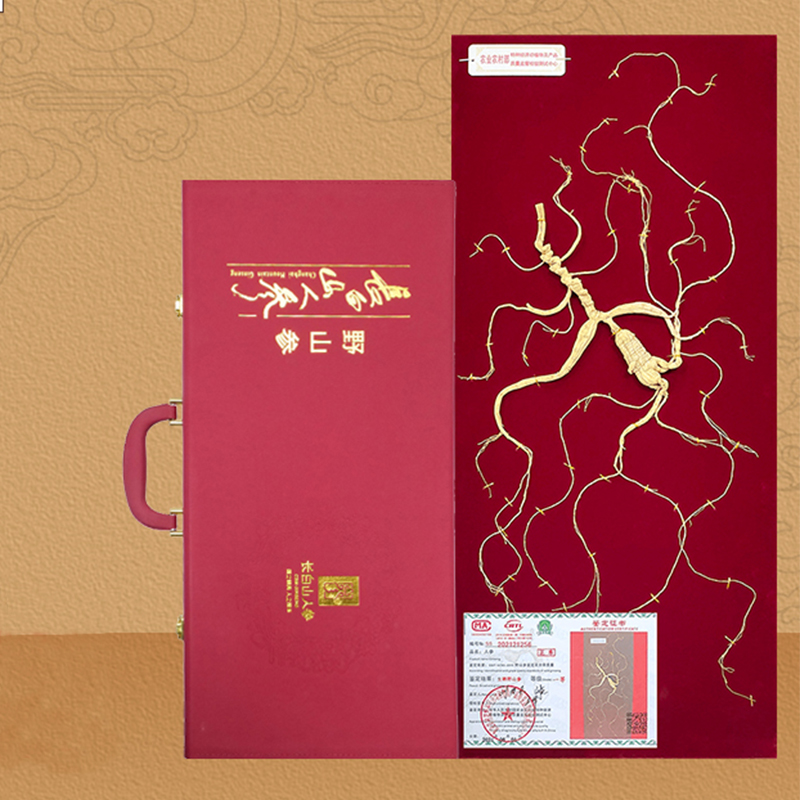 一级野山参一支