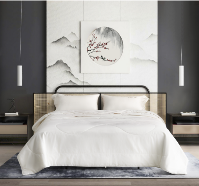 JY23ZQ15-18（博洋家纺云洛格蚕丝四季被）